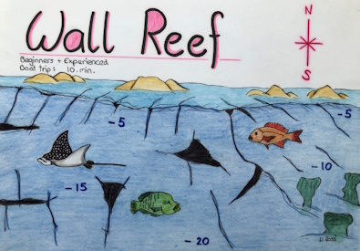 Wall Reef